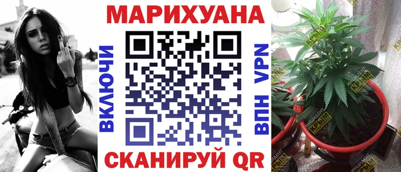ГАШ Долгопрудный