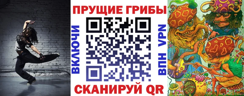 закладка  Долгопрудный  Галлюциногенные грибы мухоморы 
